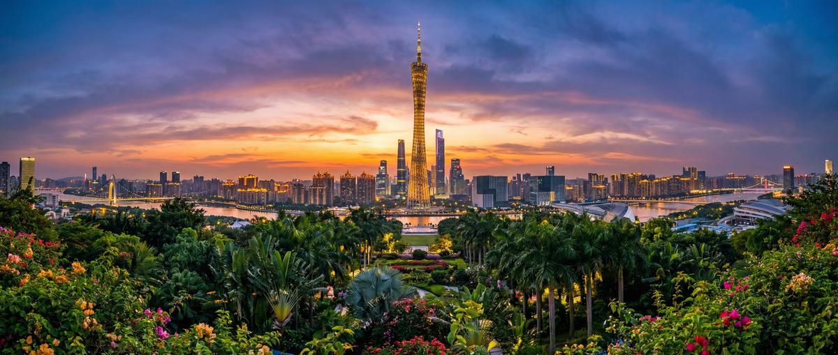 海角社区植物视频社区Banner